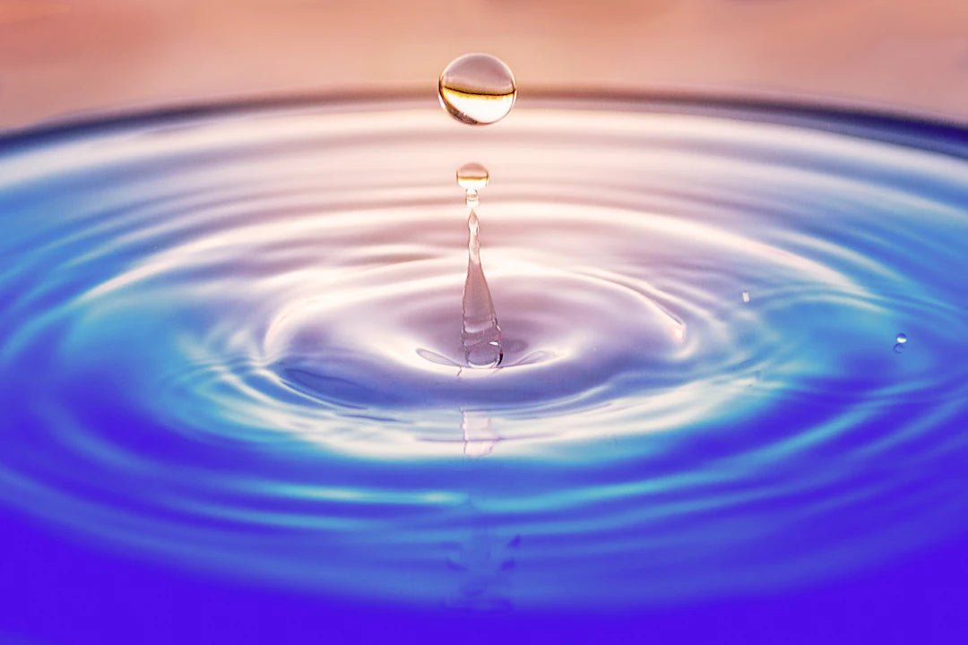 Membraan Voor Mobiele Omgekeerde Osmose-installatie Zonder Vaste Wateraansluiting Waterfilter