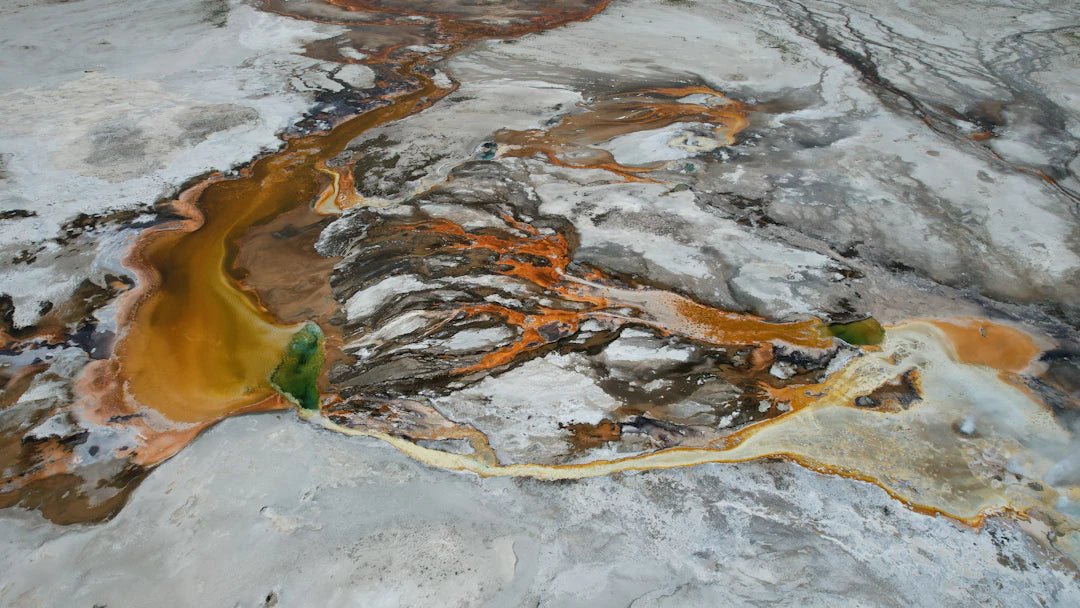 De Impact van Overheid en Regelgeving op PFAS