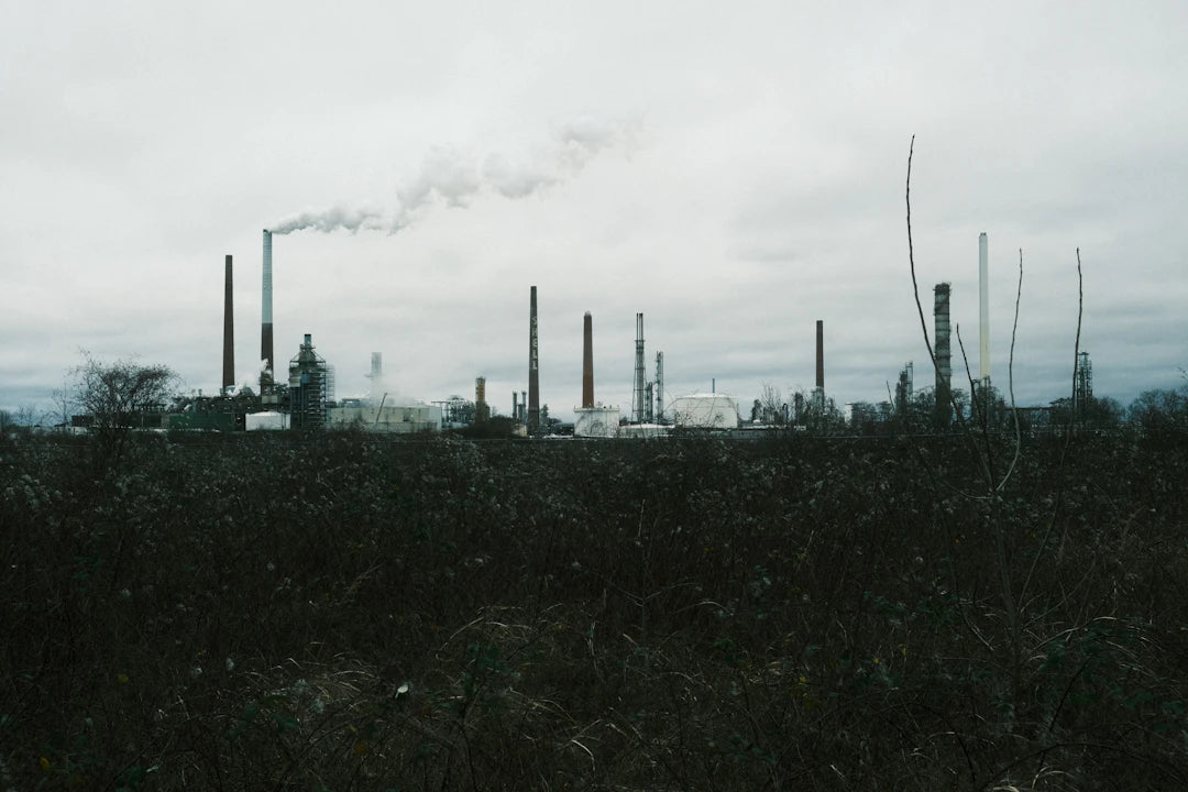 Internationale Vergelijkingen van PFAS-Vergiftiging