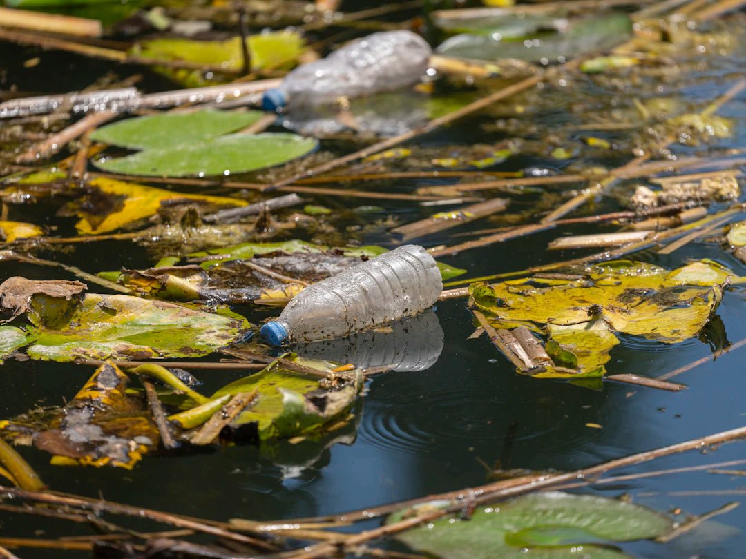 PFAS en Kraanwater Uitdagingen en Oplossingen