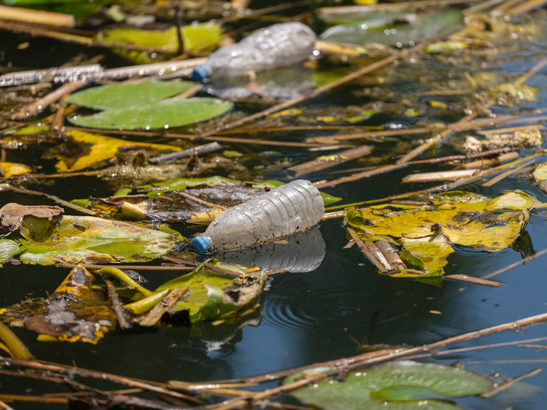 PFAS De Onzichtbare Vijand van Onze Ecosystemen
