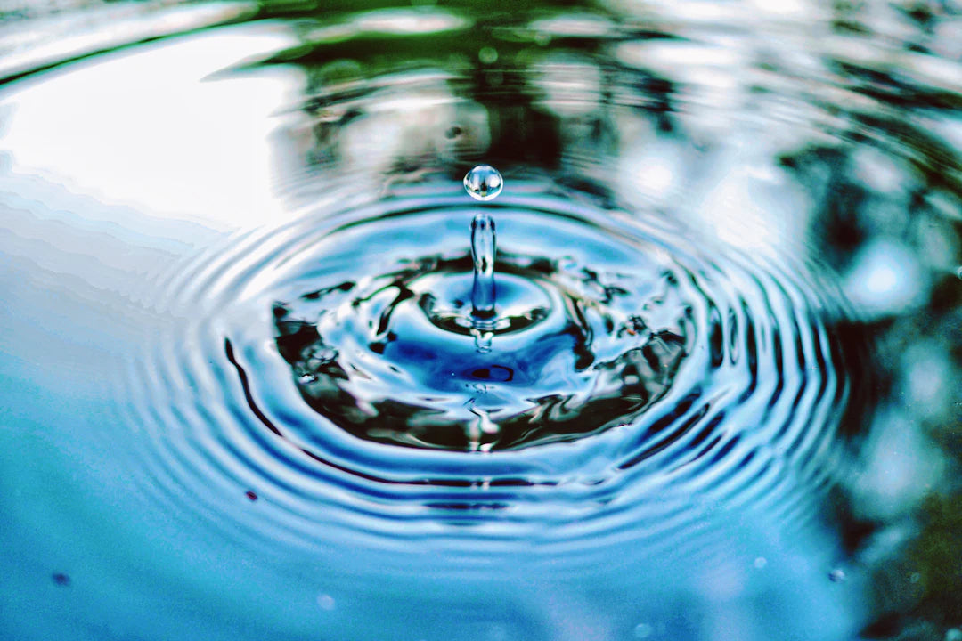De Rol van Drinkwaterbedrijven in PFAS-Bestrijding