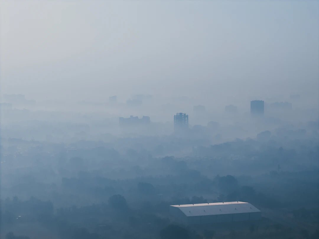 De impact van PFAS-vervuiling op de economie